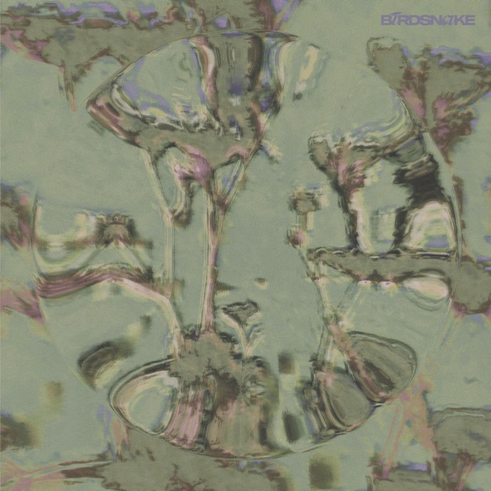 Birdsnake Begins — Birdsnake